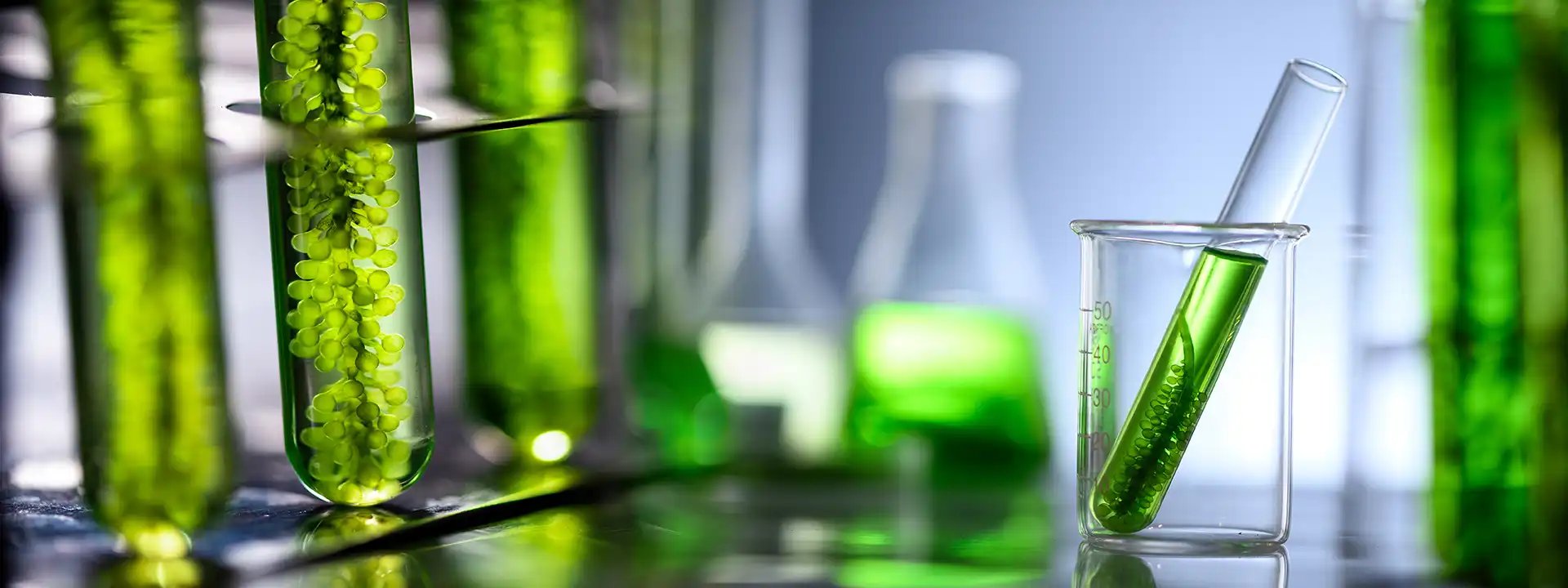 reagenzglaeser-gefüllt-mit-gruenem-wasser-und-pflanzen