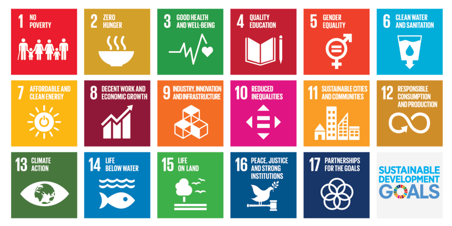 sdg-sustainable-development-goals-graphic-en