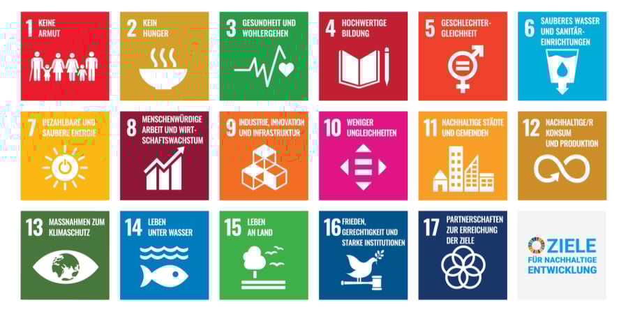 sdg-ziele-fuer-nachhaltige-entwicklung-grafik-de