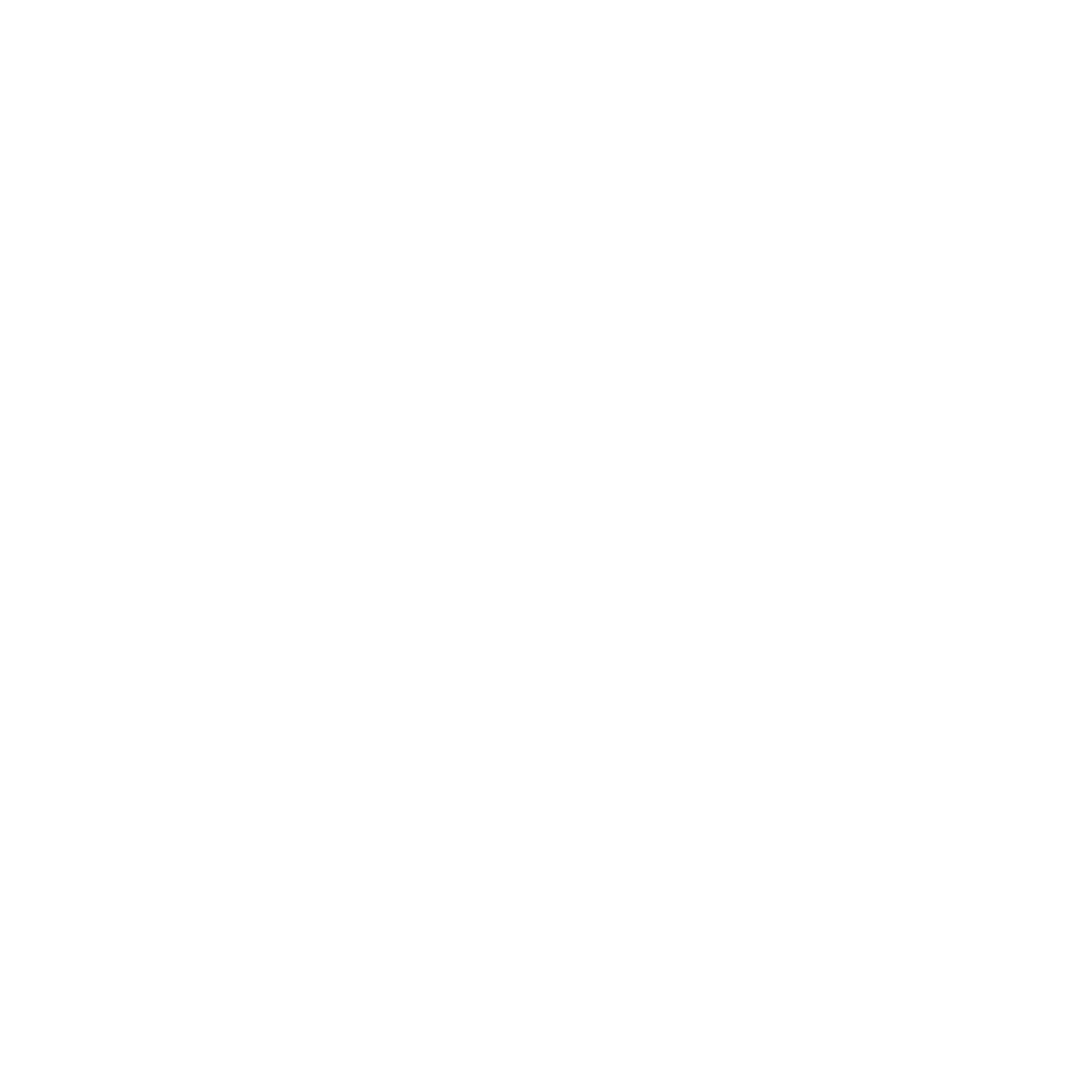 Icon_weiß_Mobilitaet