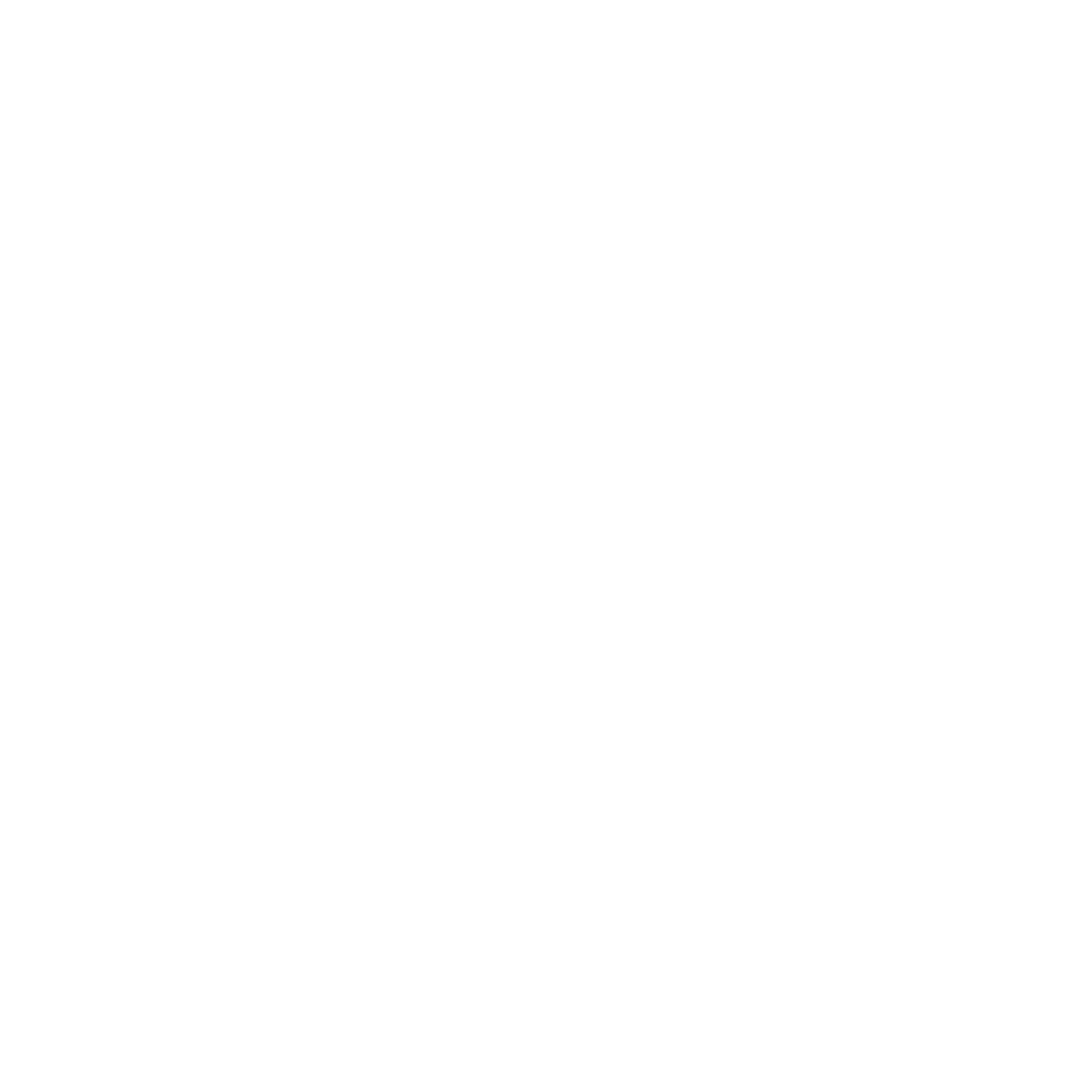 Icon_weiß_Förderung