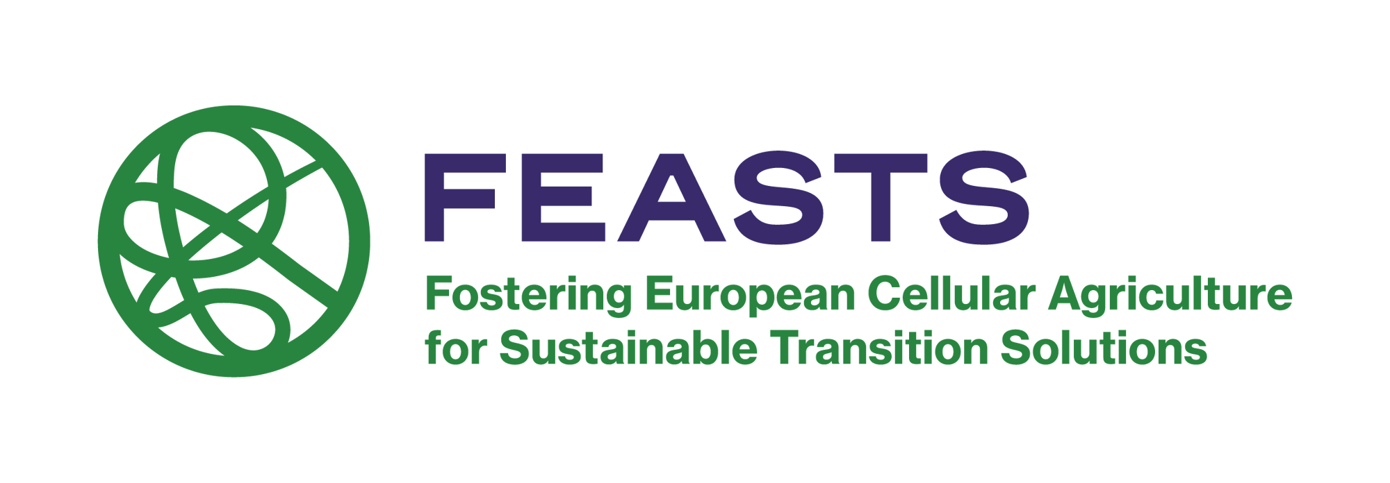 Logo FEASTS