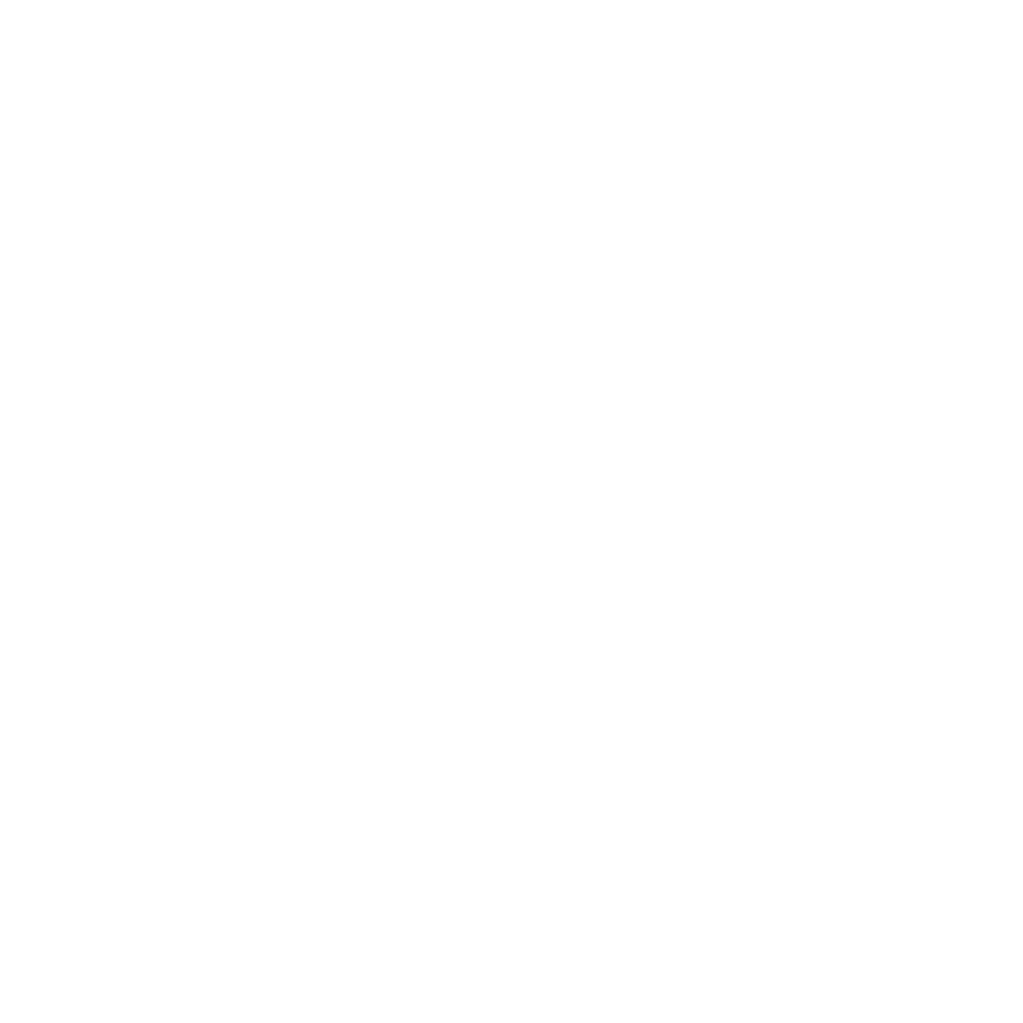 Icon_weiß_IKT