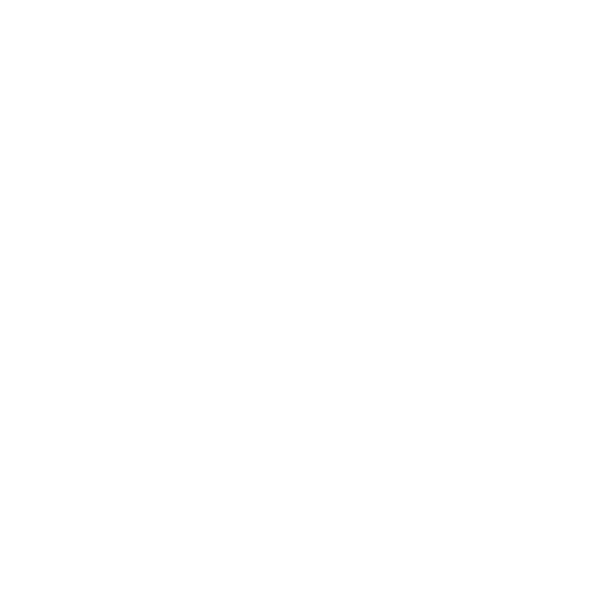 Icon_weiß_Photonik