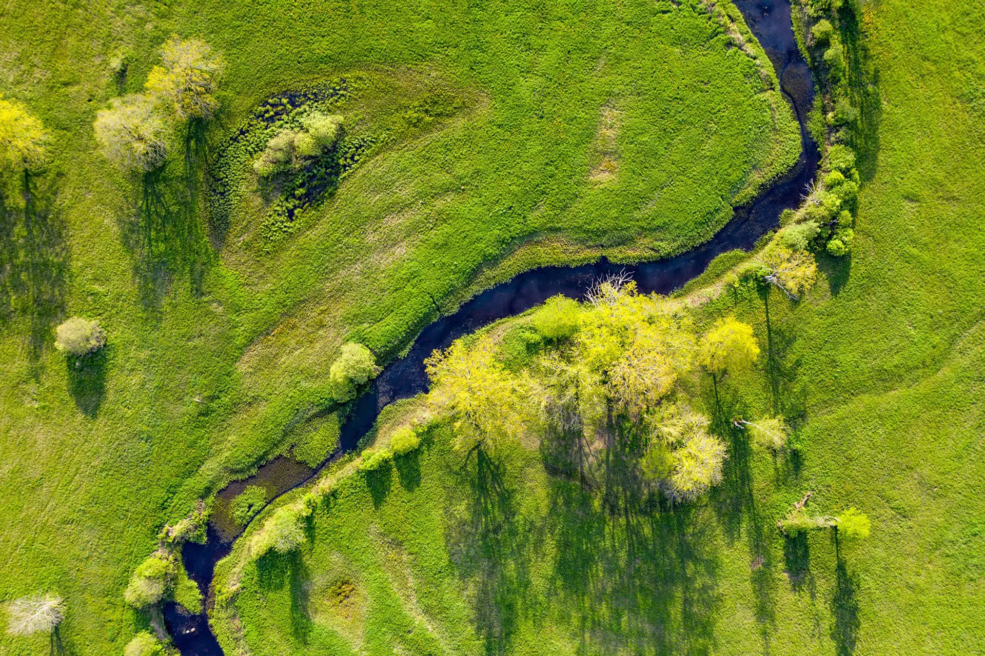 greentech - fluss in den feldern