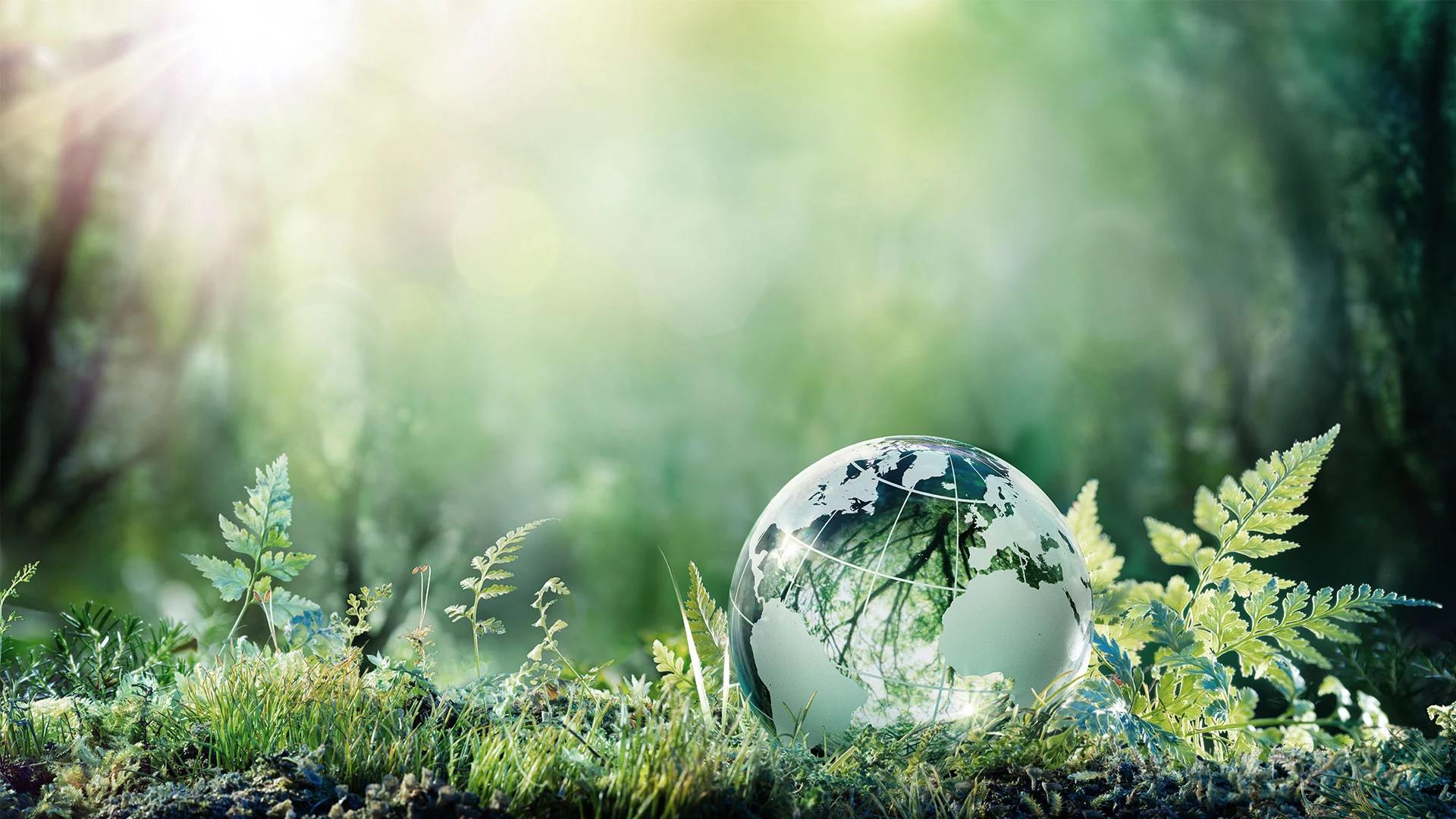 nature - sustainability reporting