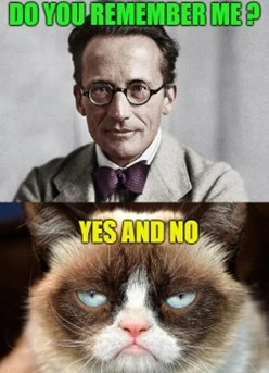 Schrödingers_Katze
