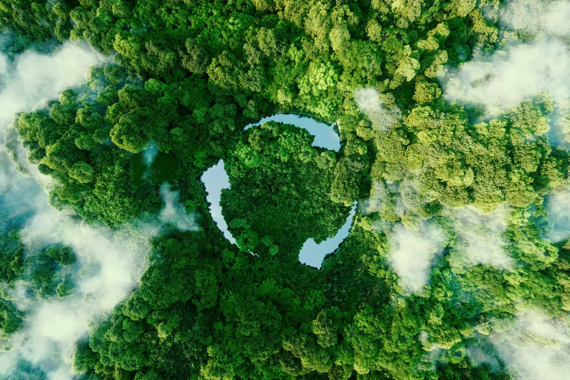 Wald von oben mit Kreislaufsymbol für Nachhaltigkeit im Lebenszyklus