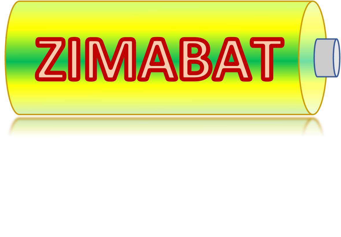 ZiMABAT Logo