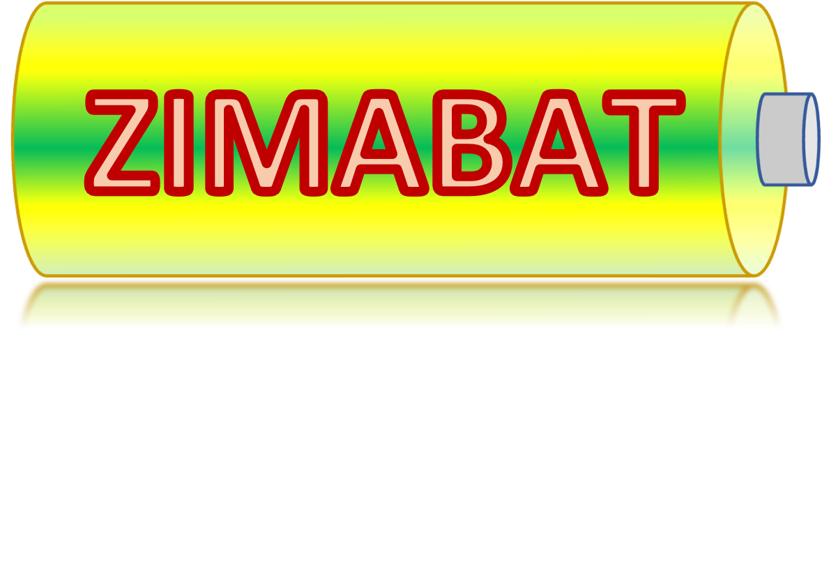 Logo ZiMABAT